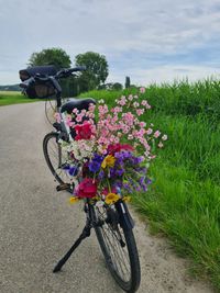 Fietstoer Badhuisstraat Vlissingen